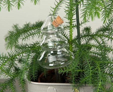 Bevattningsglas Träd
