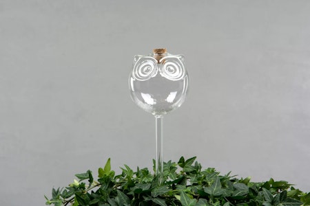 Bevattningsglas Uggla