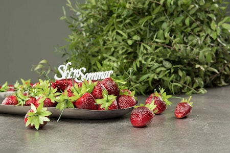 Skön Sommar Stick Vit