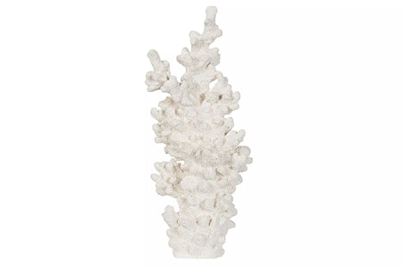 Korall Poly Vit