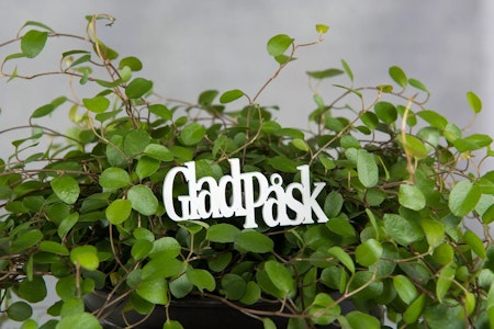 Glad Påsk Stick Vit