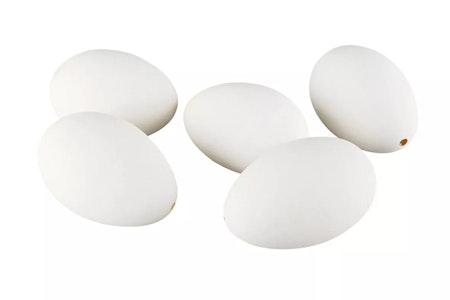 Gåsägg Vita