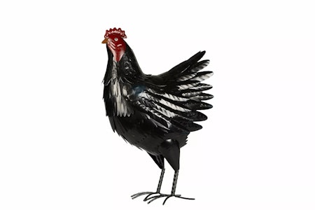 Höna Metall Svart
