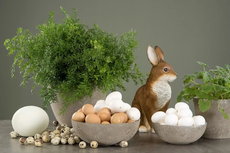 Hönsägg Brun