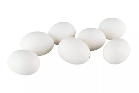 Hönsägg Vit