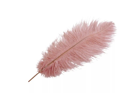 Strutsfjäder Brunrosa