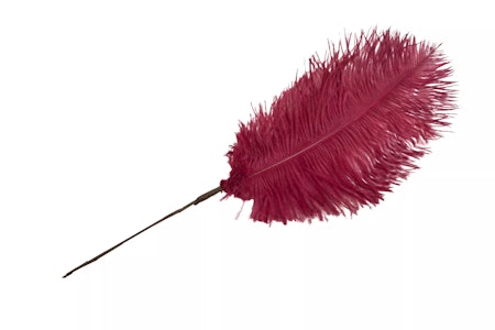 Strutsfjäder Stick Vinröd