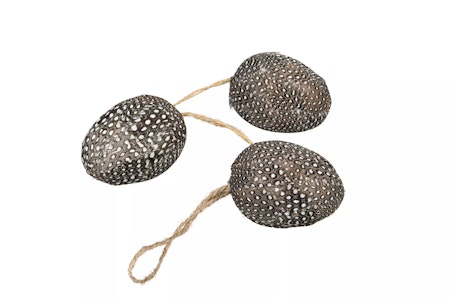 Ägg Prick Fjäder Häng