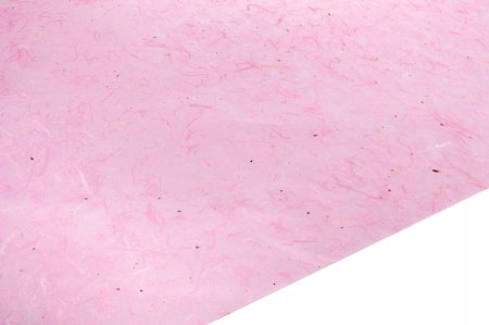 Vaxat Silkesp. Rosa