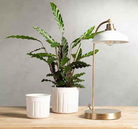 Bordslampa Noa Emalj Shell