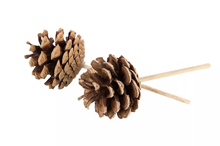 Kotte Stick Natur