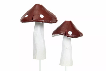 Flugsvamp/Stick Poly