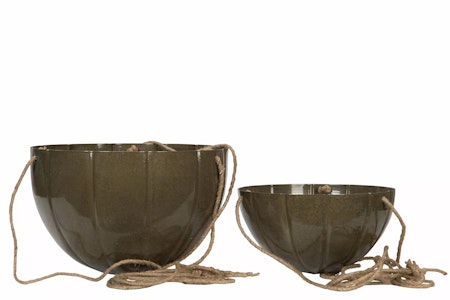 Ampel Frilly Olive