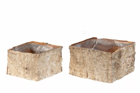 Näverkruka Kvadrat