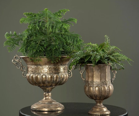 Pokal Isolde G.Brun