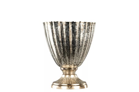 Pokal Kant M.Champagne