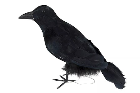 Korp Svart