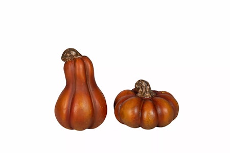 Pumpa Mini Orange Mix Poly