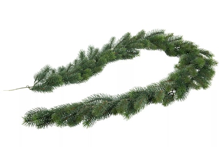 Girlang Gran Mörkgrön