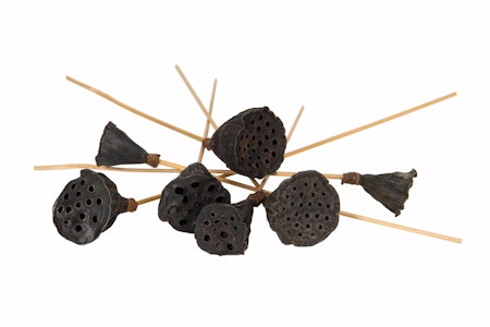 Lotus Mini Stick