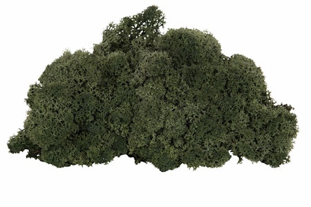 Renlav Pine Flamsäker