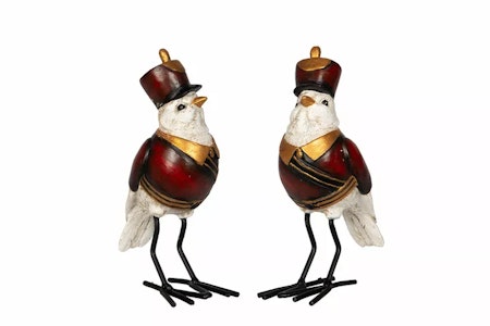 Fågel Kapten Poly