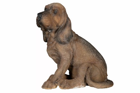 Hund Blodhund Poly