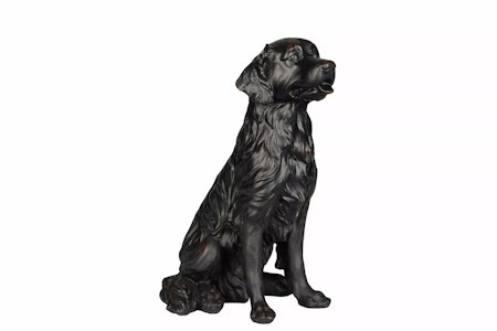 Hund Golden Retriver Svart/Brun Poly