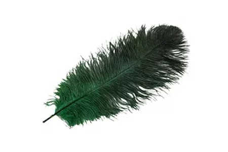 Strutsfjäder Grön