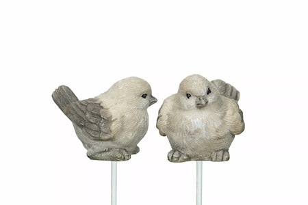 Fågel Stick Poly