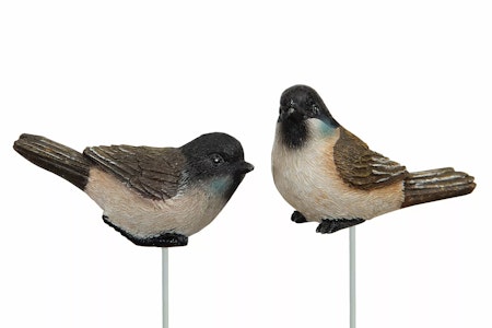 Fågel Stick Blåmes Poly