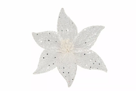 Blomma Vit Clip