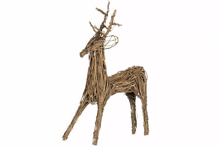 Ren Crazy Lian Natur