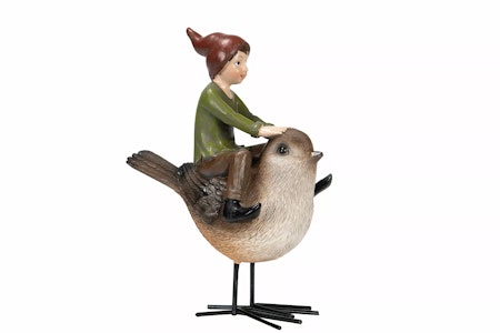 Pojke och Fågel Poly