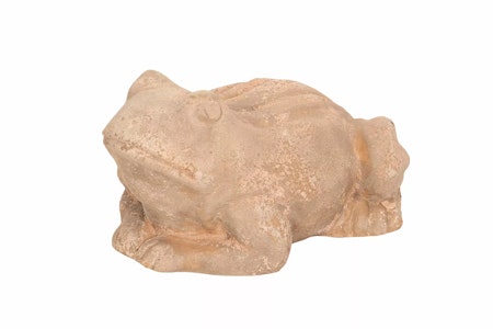 Groda Geras