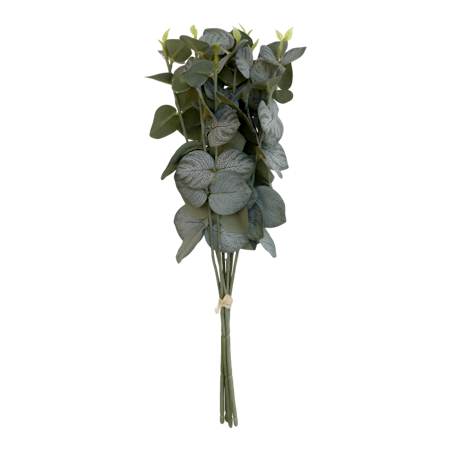 Fleur Eukalyptus bukett