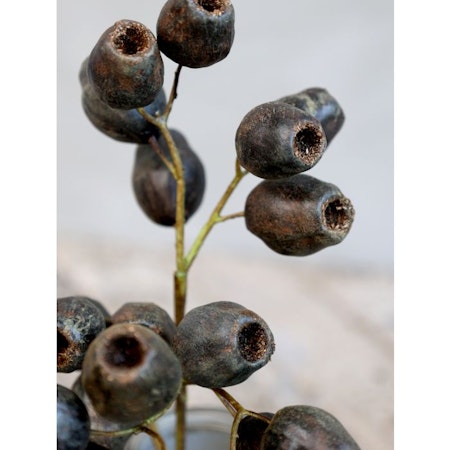 Fleur Eukalyptus bukett