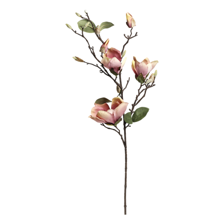 Fleur Magnolia