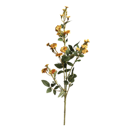 Fleur Ros