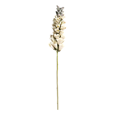 Fleur Fingerborgs
