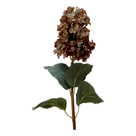 Fleur Hortensia