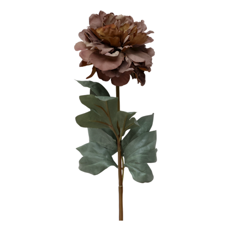 Fleur Pion