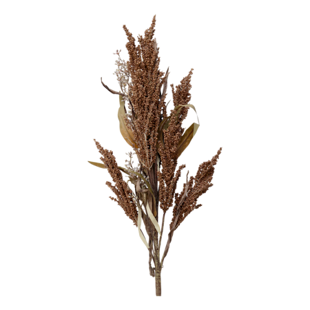 Fleur Gren m frökapsel Fleur Gren m frökapsel