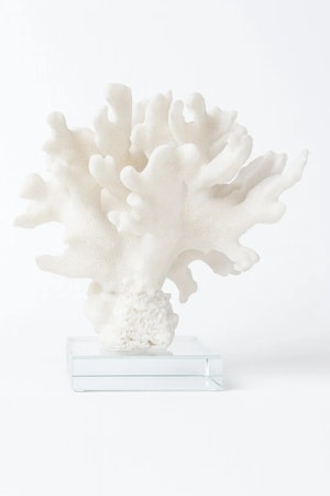 Coral w crystal base