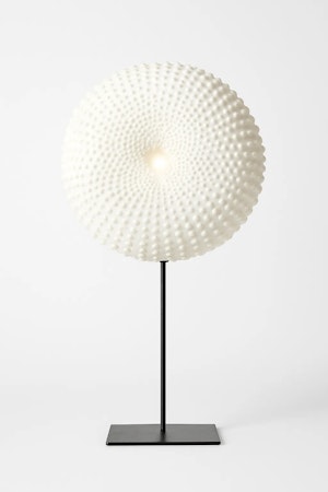 Sea urchin on stand