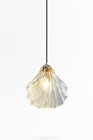 Shell lamp