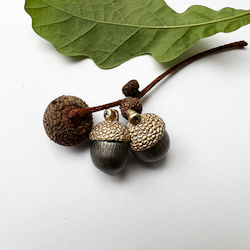Fruit Of The Oak Earrings, bronze
