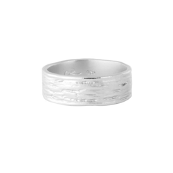 Misty Forest Jupiter Mens Ring- Silver