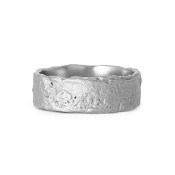 Misty Forest Raw Mens Ring- Silver