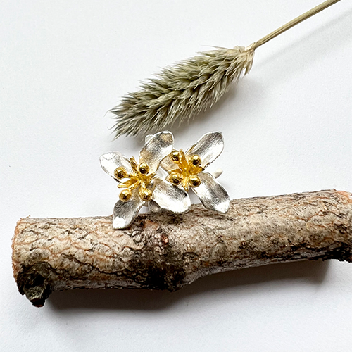 Earrings Star Eye - Silver/Gold